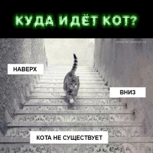 11667259_819735728116240_8689728857893896003_n